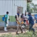 Botërori 2026/ Tjetër problem i papritur 22 ditë para nisjes, shpërthimi i Ebolas në Kongo