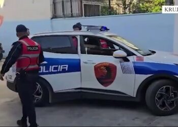 Sulm me thika në oborrin e një mobilerie në Nikël, plagosen 2 vëllezërit, në kërkim autorët