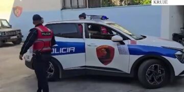 Sulm me thika në oborrin e një mobilerie në Nikël, plagosen 2 vëllezërit, në kërkim autorët