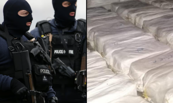 Trafikuan 18 ton kokainë nga Kili, si tentoi mafia shqiptare të korruptojë drejtësinë amerikane