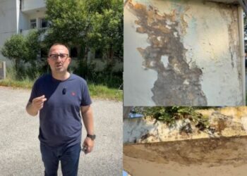 “Këtu të ha miu”/ Korreshi nxjerr videon: Kushte skandaloze në Qendrën e Gjakut të spitalit të Lushnjës
