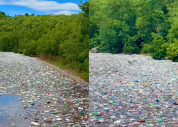 Alarm mjedisor në Kukës, liqeni mbulohet nga mbeturinat plastike