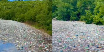 Alarm mjedisor në Kukës, liqeni mbulohet nga mbeturinat plastike