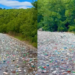 Alarm mjedisor në Kukës, liqeni mbulohet nga mbeturinat plastike
