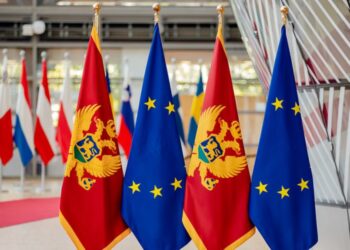 Raporti i Parlamentit Europian: Mali i Zi është vendi më i avancuar në rrugën drejt BE-së