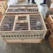 “Pëllumbat e postës” protestë në Fier: Po na pengojnë të marrim pjesë në garat ndërkombëtare jashtë shtetit