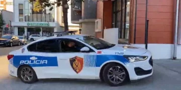 Degradon konflikti familjar në Cërrik, vëllai merr ekskavatorin dhe dëmton shtëpinë e motrave të tij