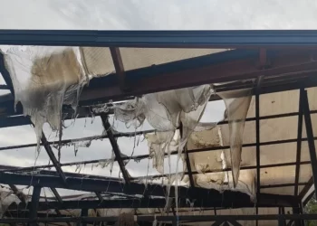 Flakët djegin tregun e fruta-perimeve në Lushnje, raportohet për dëme të mëdha materiale