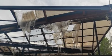 Flakët djegin tregun e fruta-perimeve në Lushnje, raportohet për dëme të mëdha materiale