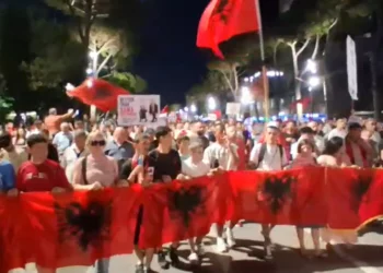 Si u zgjodh “grupi koordinator” i protestës që i shkroi ambasadave? Flet firmëtarja e letrës (Emrat)