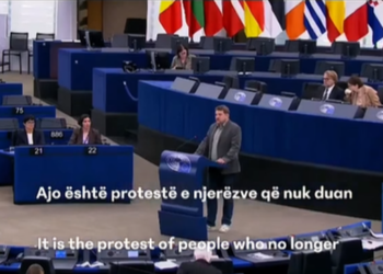 Eurodeputeti gjerman e thotë troç në shqip në PE: “Shqipëria nuk është në shitje”!