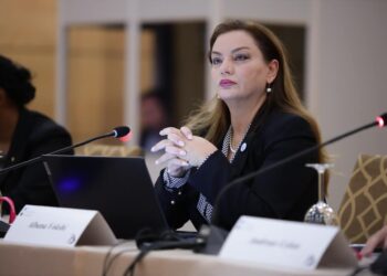 Vokshi në Asamblenë Parlamentare të KE: Qytetarët kërkojnë një të ardhme në vendin e tyre