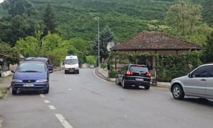 Denoncimi i çobanit që çoi policinë në stanin e Violand Braçellarit: Më dhunonte…