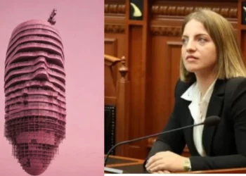 Rama vuri imazhin e një flamingoje si foto profilin në Facebook, Koçeku i sugjeron kullën në Tiranë
