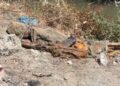Zbulohen granata dhe armë automatike në rrugën e plazhit të vjetër në Vlorë