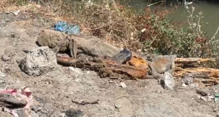 Zbulohen granata dhe armë automatike në rrugën e plazhit të vjetër në Vlorë