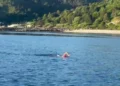 Pas rekordit Itali-Karaburun, Eva Buzo rikthehet në Vlorë dhe përshkon me not ishullin e Sazanit