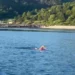 Pas rekordit Itali-Karaburun, Eva Buzo rikthehet në Vlorë dhe përshkon me not ishullin e Sazanit