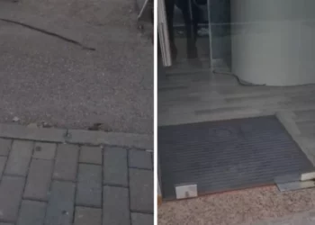 Rasti i tretë në Fier/ Gjarpri futet në qendrën tregtare dhe tmerron njerëzit
