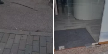 Rasti i tretë në Fier/ Gjarpri futet në qendrën tregtare dhe tmerron njerëzit