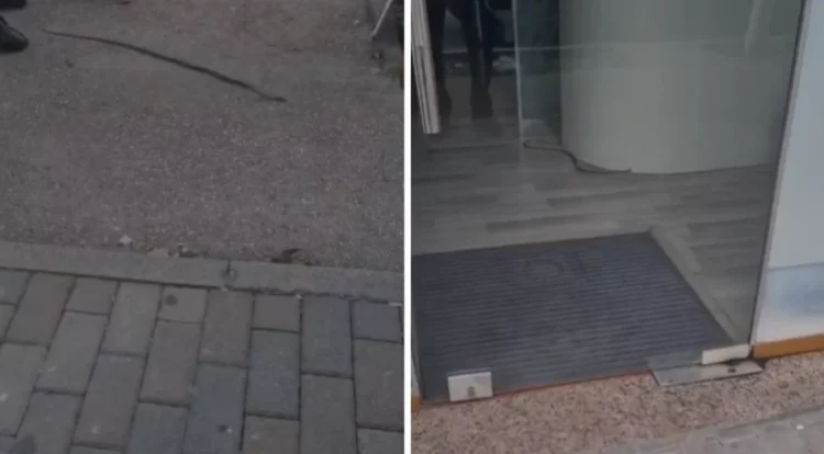 Rasti i tretë në Fier/ Gjarpri futet në qendrën tregtare dhe tmerron njerëzit