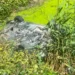 Provimi i parë i Maturës Shtetërore, maturantët në Peqin u përjashtuan pasi futën fshehurazi celularë