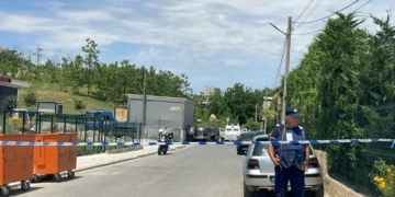 Vrasja e 27-vjeçarit në Paskuqan: autori qëlloi 10 herë dhe tentoi të godiste një person të dytë