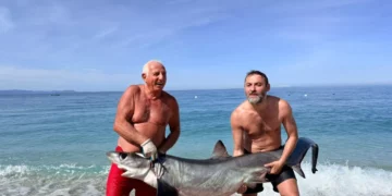 “Peshkaqeni dhelpër” kapet në Borsh, ekzemplari 2 metra i gjatë tërheq vëmendjen e pushuesve