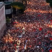 “Shqipëri e re!” Sot protesta e 11-të, mijëra qytetarë në shesh kërkojnë dorëheqjen e Ramës: Ju erdhi fundi