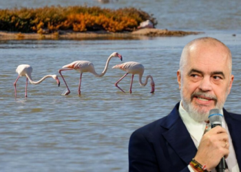 Rama flet si krijuesi i jetës bimore dhe shtazore në Shqipëri: Flamingot i solla unë…