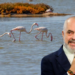 Rama flet si krijuesi i jetës bimore dhe shtazore në Shqipëri: Flamingot i solla unë…