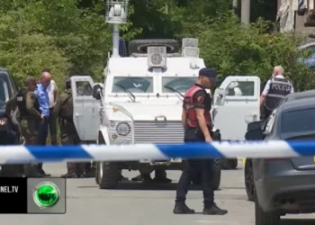 “Mori plumb në kokë”/ Dëshmia e shokut të viktimës: Njeri i vetëm, jetonte veç me nënën