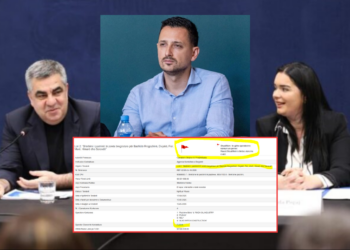 Tenderi 2.1 MLD lekë i pastrimit të plazheve/ Si ua ndanë dhëndri i Troplinëve dhe Blendi Gonxhe kontratën Fushës dhe Arbër Abazit