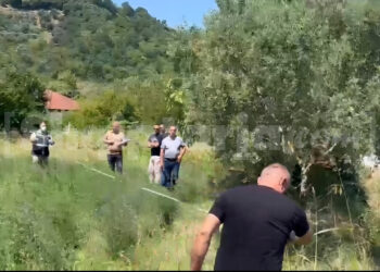 Atentati në Vorë/ 50-vjeçari ekzekutohet me snajper, njihej si i ‘forti’ i zonës