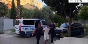 Zbulohet një bazë me arsenal armësh dhe municion, arrestohet 20-vjeçari