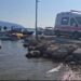 Vlorë, pushuesit i pret këmbën skafi në Sazan, një tjetër humb jetën në Orikum