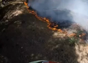 Zjarr i madh në Babicë, flakët rrezikojnë banesat dhe djegin sipërfaqe me ullishte