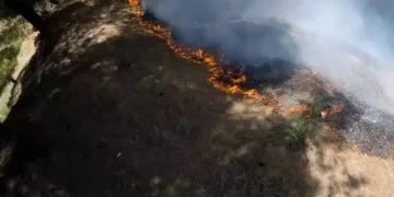 Zjarr i madh në Babicë, flakët rrezikojnë banesat dhe djegin sipërfaqe me ullishte