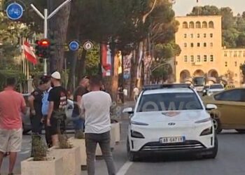 Protestuesja merret nga policia para Kryeministrisë, e paqartë arsyeja e ndërhyrjes