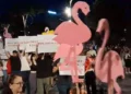 Protesta/ Organizatorja: Qëndroni të bashkuar pavarësisht ndasive!