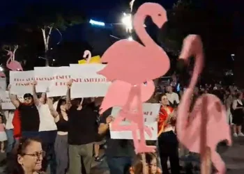 Protesta/ Organizatorja: Qëndroni të bashkuar pavarësisht ndasive!