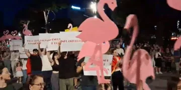 Protesta/ Organizatorja: Qëndroni të bashkuar pavarësisht ndasive!