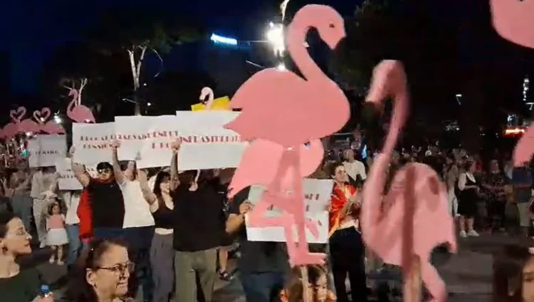 Protesta/ Organizatorja: Qëndroni të bashkuar pavarësisht ndasive!