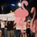 Protesta/ Organizatorja: Qëndroni të bashkuar pavarësisht ndasive!