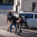 SPAK dërgon në gjyq 11 persona për trafik ndërkombëtar droge drejt Finlandës