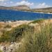 Gjendet i pajetë në det peshkatari 61-vjeçar, dyshohet se u mbyt gjatë stuhisë