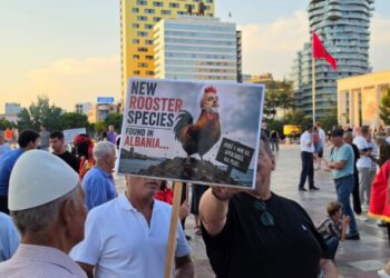 Pankartat ironike të qytetarëve: Bukë nuk ka, spektakël ka plot