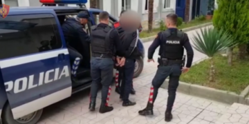Mbi 55 kg kanabis në makinë, arrestohet shqiptari në kufirin greko-shqiptar