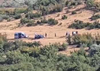 Ekzekutoi ish-vjehrrin dhe mori peng të fejuarën në Roskovec, vetëvritet pas disa orësh negociata autori Nertil Buzi