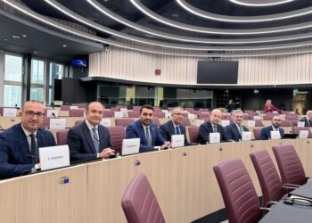 Komiteti Shqipëri–BE pa rezolutë të përbashkët, PD: Amendamentet tona u refuzuan nga socialistët